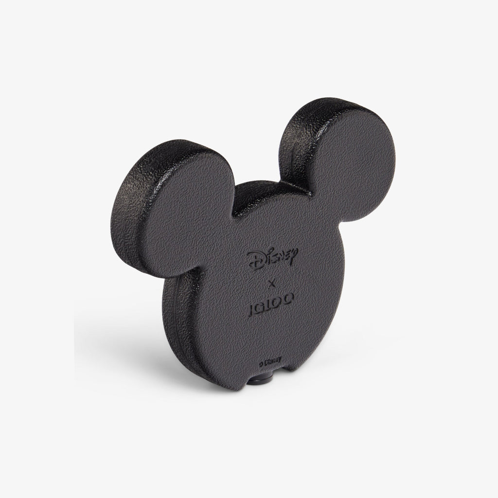 Disney Mickey Mouse Ice Block 2-Pack