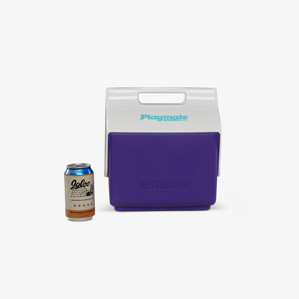 Retro Little Playmate 7 Qt Cooler