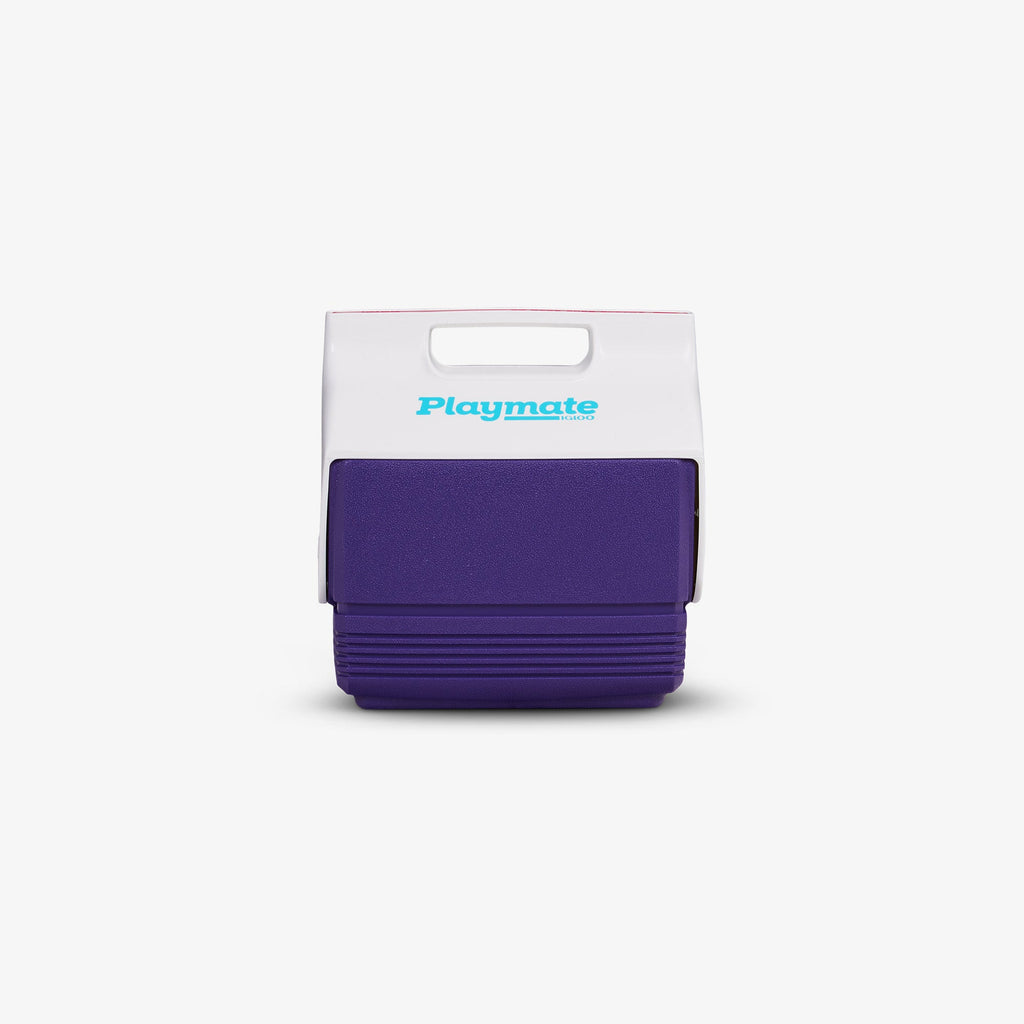 Retro Playmate Mini 4 Qt Cooler