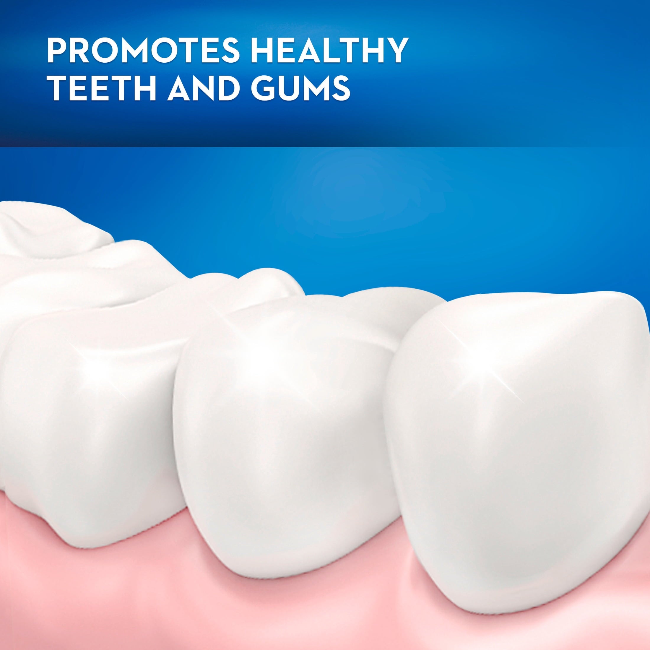 (2 pack)  Toothbrush Pack, Essential Clean Manual Toothbrushes, Medium Bristles, 6 Count