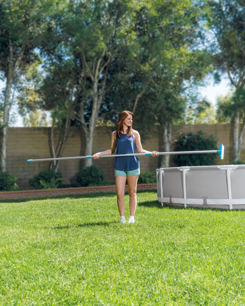 Pool Wall Brush