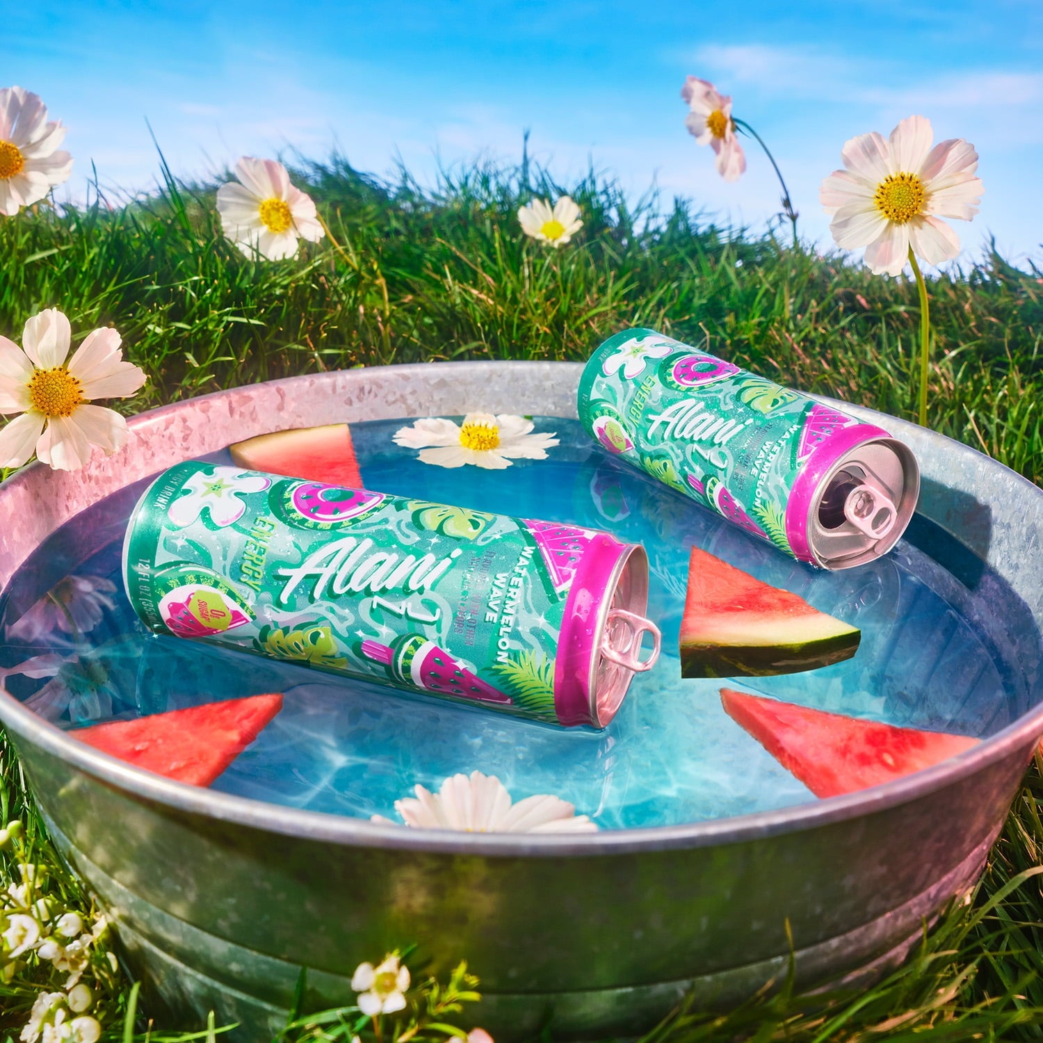 Watermelon Wave, 12 fl oz, Single Can