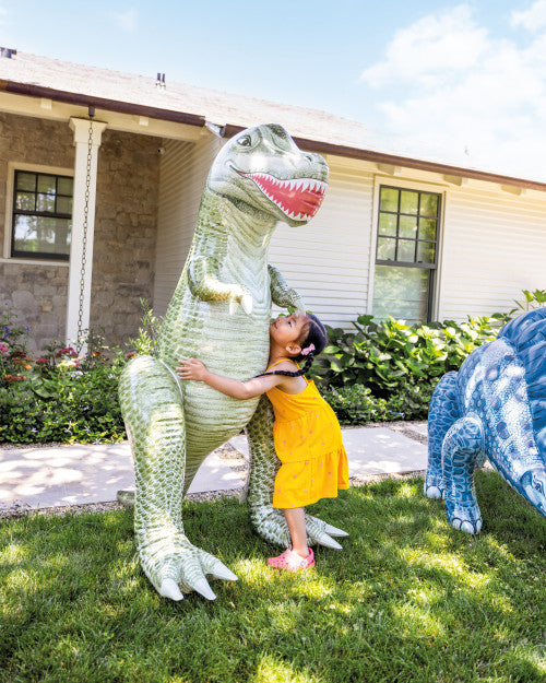 Jurassic Dino Pals - Tyrannosaurus Rex and Stegosaurus Assorted