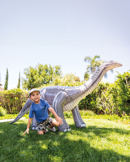 Jurassic Dino Pals - Brontosaurus and Triceratops Assorted