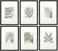 MY SWANKY HOME Modern Set of 6 Black White Fern Prints Botanical Framed Monochrome 29 in