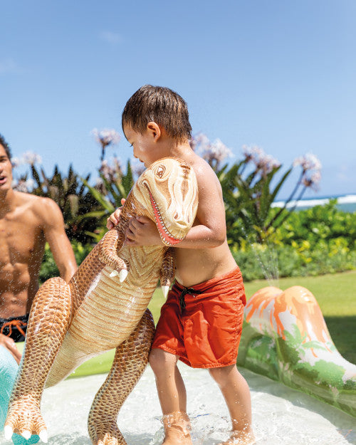 Jurassic Adventure Inflatable Play Center