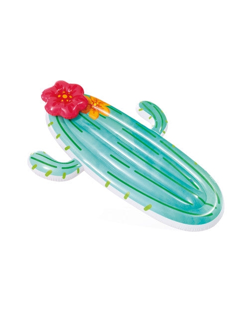 Cactus Inflatable Pool Float