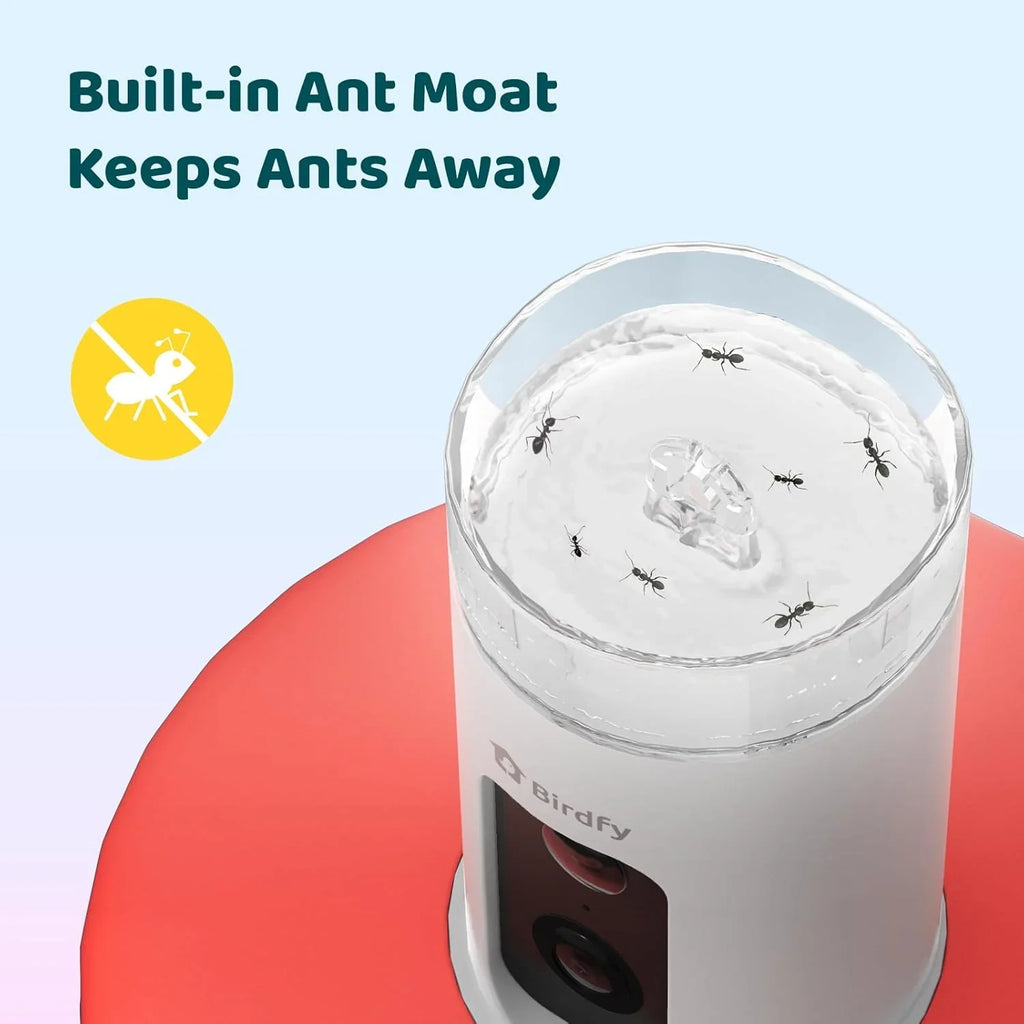Hummingbird Feeder (Outdoor Hanging Type, with Camera, Ant-proof Groove), supports real-time viewing via 1080P high-definition application, equipped with artificial intelligence hummingbird recognition function, automatic recording and alarm function