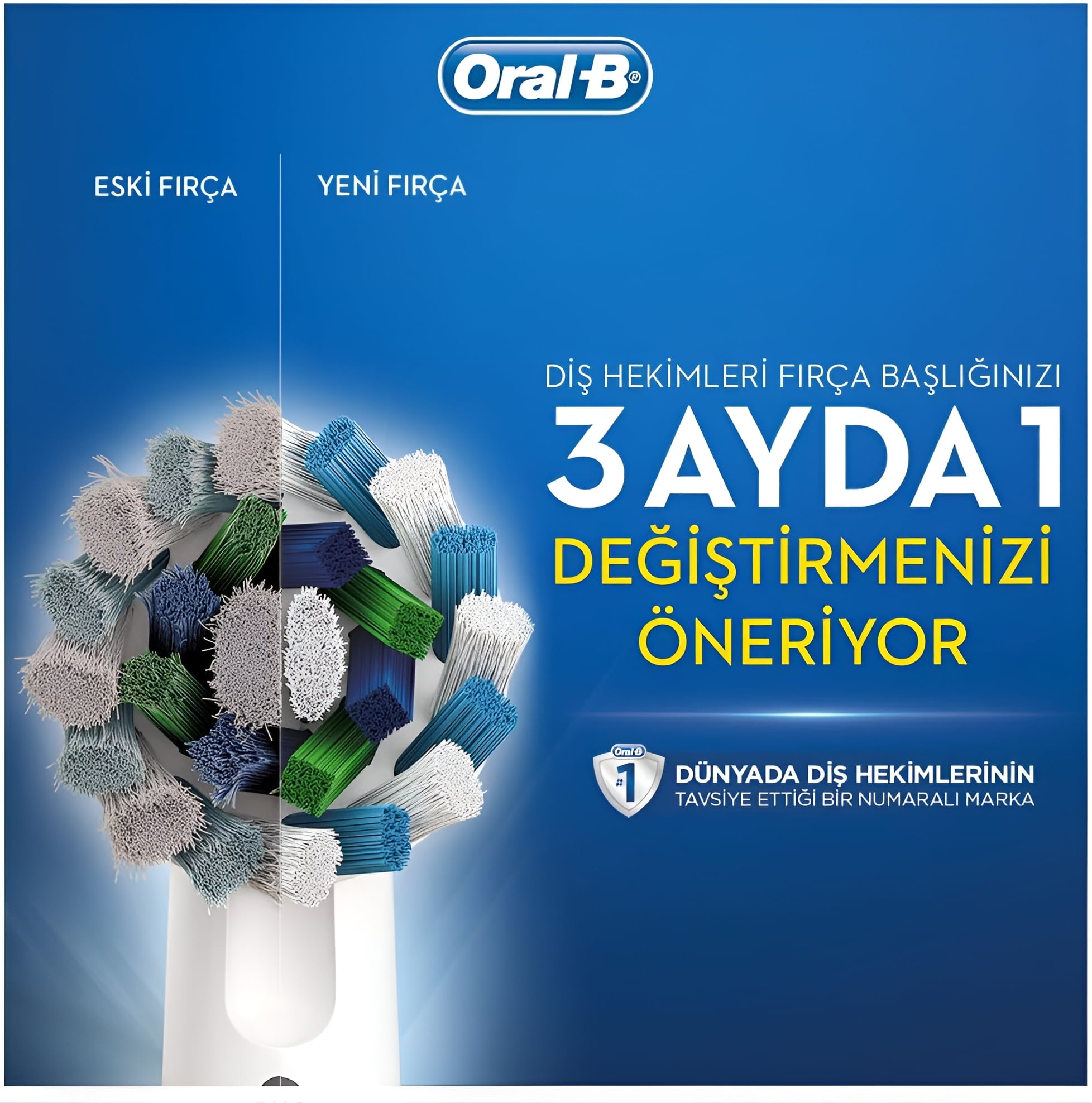 Precision Clean Replacement Toothbrush Heads 10 Count
