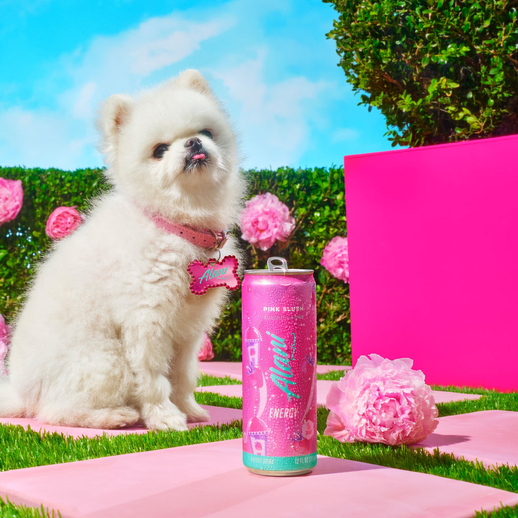 Sugar Free Energy Drink, Pink Slush, 12 fl oz, 12 Pack, Cans, 200mg Caffeine