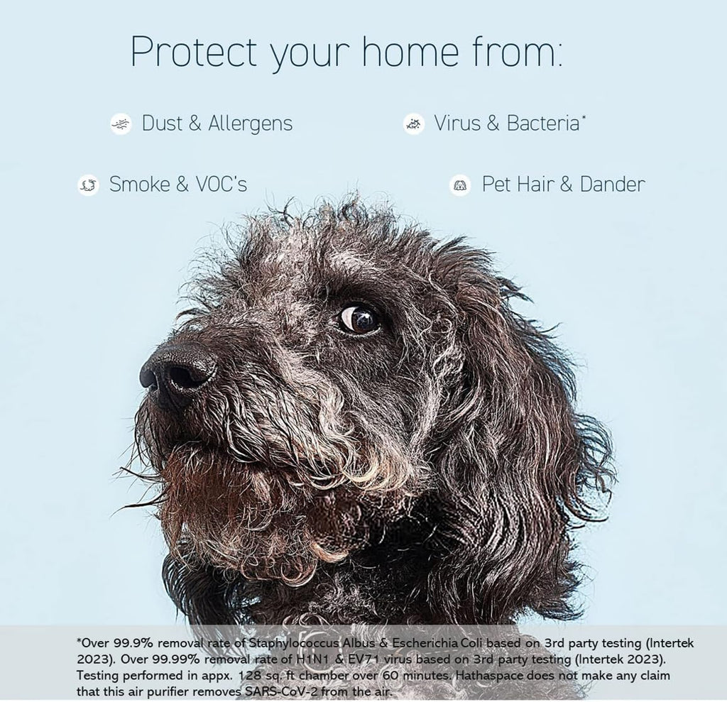A truly efficient air filter household air purifier, capable of removing 99.9% of dust, smoke, pet dander, odors, and volatile organic compounds, with a coverage area of up to 1500 square feet. A quiet air purifier with intelligent sensors, suitable