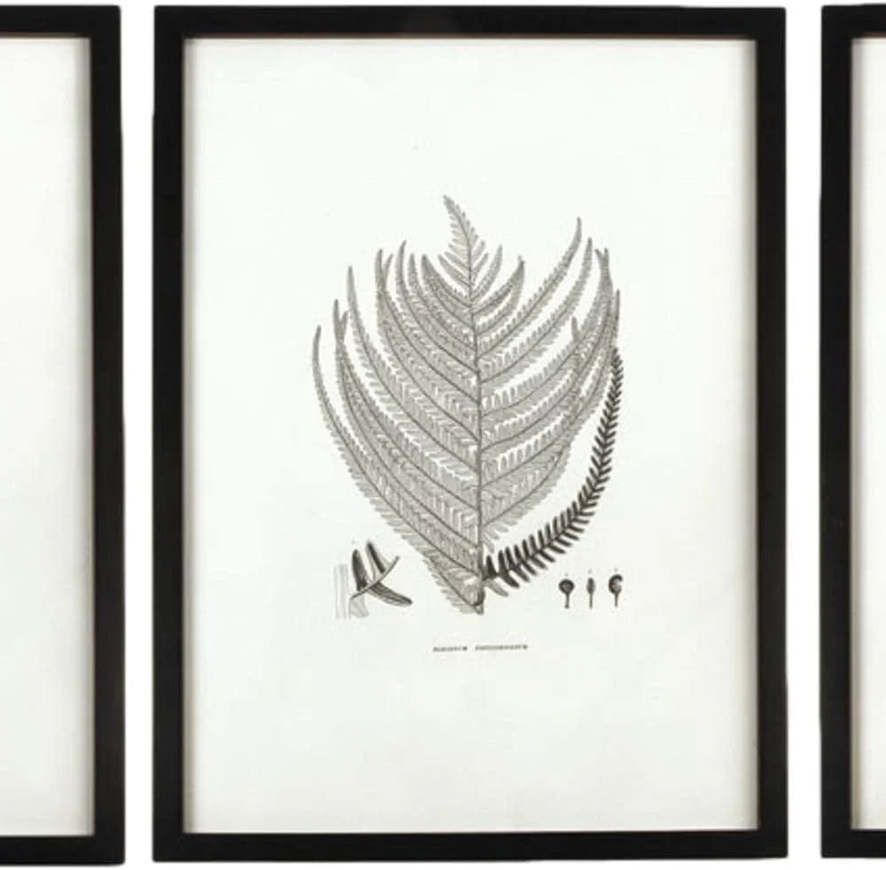 MY SWANKY HOME Modern Set of 6 Black White Fern Prints Botanical Framed Monochrome 29 in