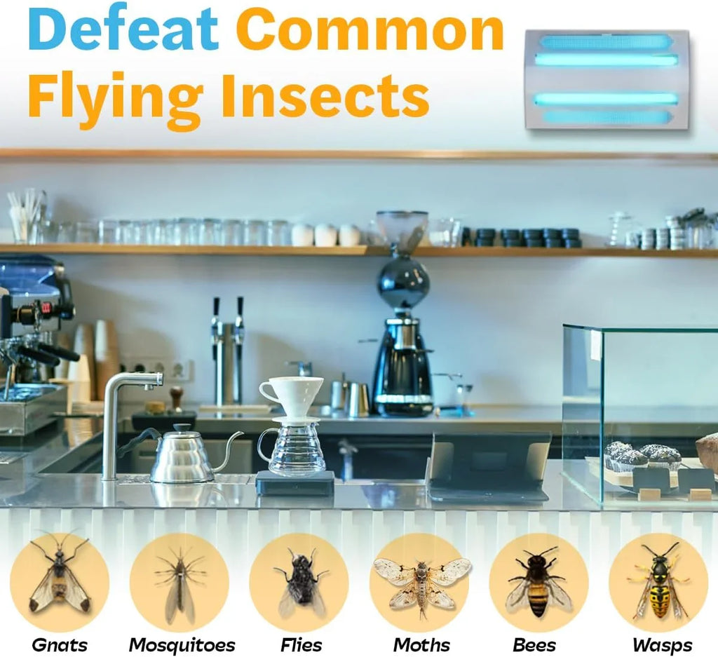 An indoor wall-mounted ultraviolet fly trap, used for catching flies, moths, mosquitoes and other flying insects.