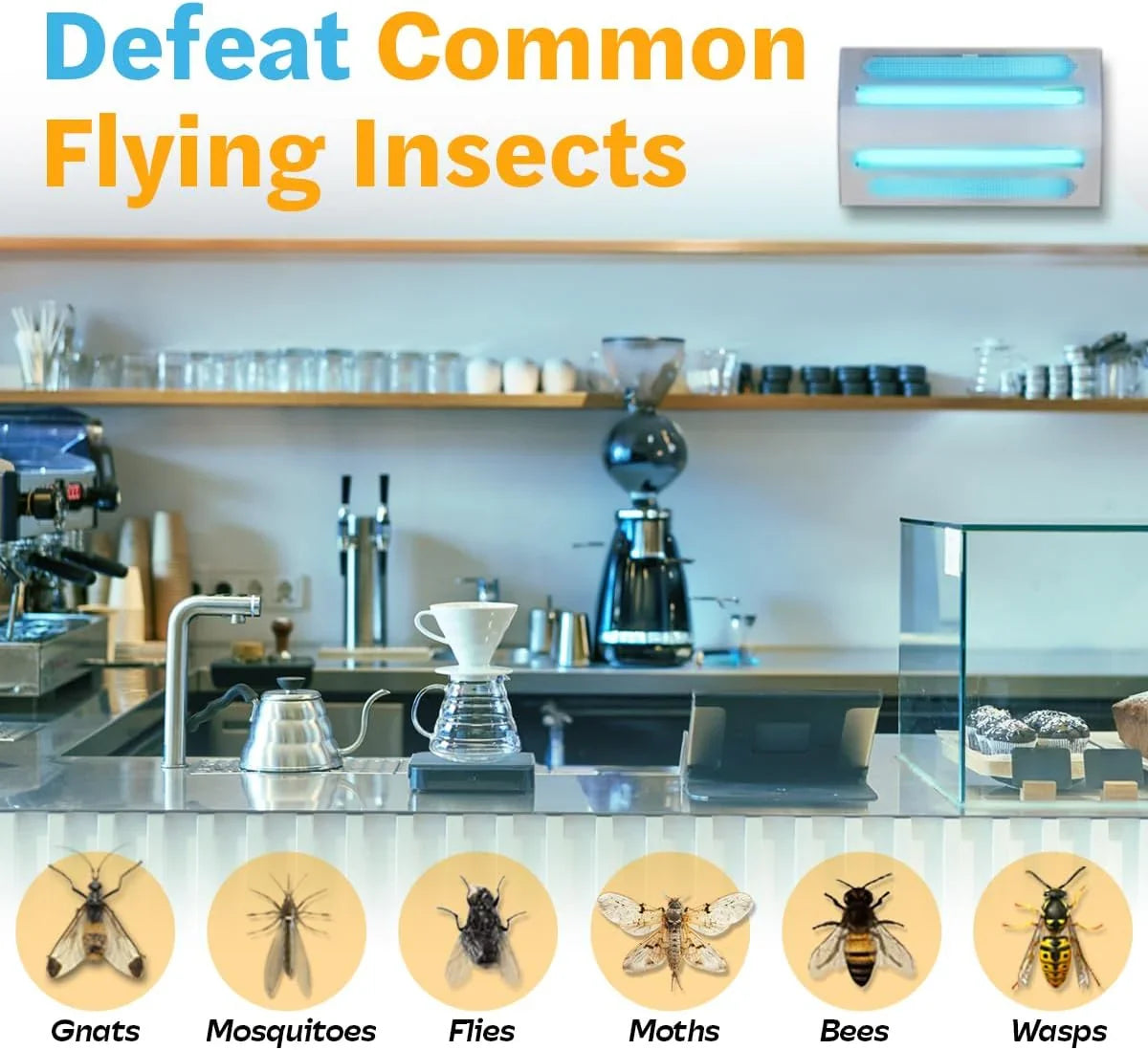 An indoor wall-mounted ultraviolet fly trap, used for catching flies, moths, mosquitoes and other flying insects.