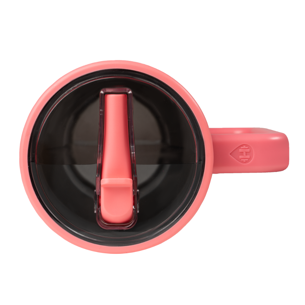 Salmon - Traveler (20oz) | B2XOM3Y8