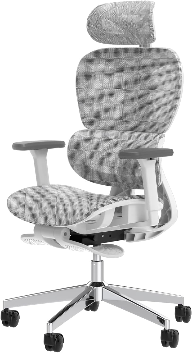 Ergo3D Ergonomic Office Chair -- High Back Mesh Desk Chair with 3D Adjustable Armrests, Wheels, for Home and Office (Black)