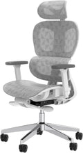 Ergo3D Ergonomic Office Chair -- High Back Mesh Desk Chair with 3D Adjustable Armrests, Wheels, for Home and Office (Black)