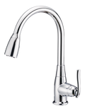 Danze Terrazo Single Handle Pull Down Kitchen Faucet, Chrome