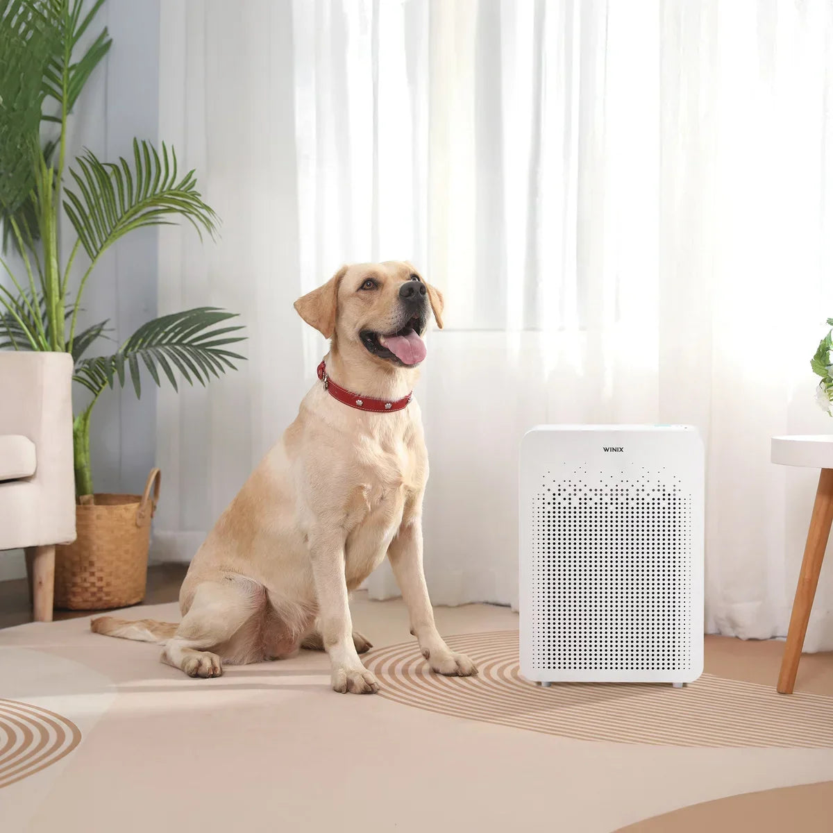 GermGuardian - Air Purifier with HEPA Filter and Odor Control, 2 Pack