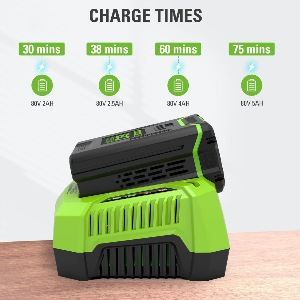 Greenworks PRO 80V 2Ah Lithium-Ion Battery Charger for CT#: 060-1706