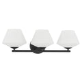 Hunter Celestial Valley 3 Light Vanity Light